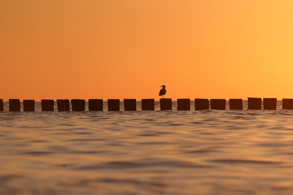 sunset, sea, to sit-7240788.jpg